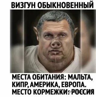 🧐 Соловьёв перешёл на личности: «Бондаренко – ничтожество»